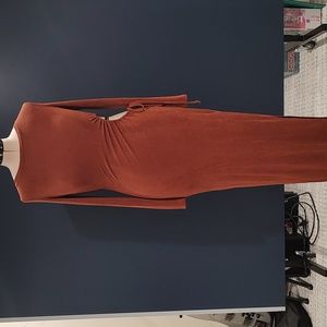 Long sleeved Copper dress with side cut out. Stretchy material. Size L. Acoa